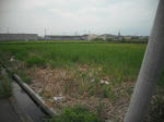 DSCF2032.JPG
