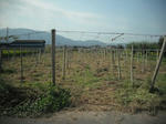 DSCF2065.JPG