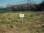 DSCF2125.JPG