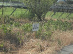 DSCF2129.JPG