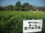 DSCF2324.JPG