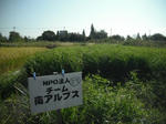 DSCF2325.JPG