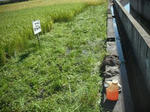 DSCF2369.JPG