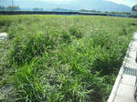 DSCF2370.JPG