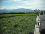 DSCF2372.JPG