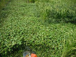 DSCF2397.JPG