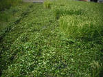 DSCF2399.JPG