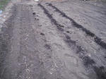 DSCF2465.JPG