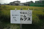 DSCF2510.JPG