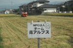 DSCF2569.JPG