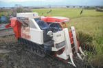 DSCF2575.JPG