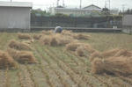 DSCF2758.JPG