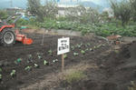 DSCF2838.JPG