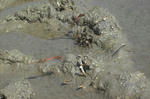 DSCF2862.JPG