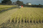 DSCF2850.JPG