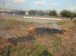 DSCF4031.JPG