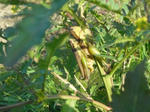 DSCF4122.JPG