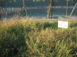 DSCF4146.JPG