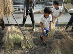 DSCF4173.JPG
