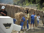 DSCF4174.JPG