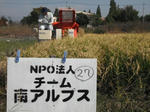 DSCF4199.JPG