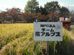 DSCF4201.JPG