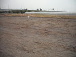 DSCF4237.JPG