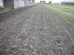 DSCF4334.JPG