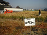 DSCF4366.JPG