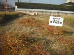 DSCF4367.JPG