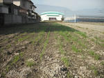 DSCF4511.JPG