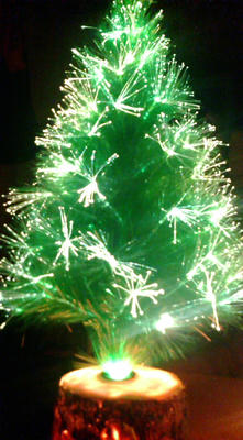 20081224192244.jpg