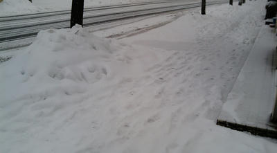 20090115153651.jpg