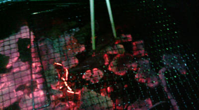 20090411203927.jpg
