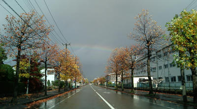 F1000162.JPG