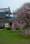 himeji007.jpg