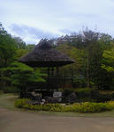 koukoen01.jpg