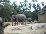 Image001.jpg