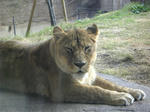 Image016.jpg