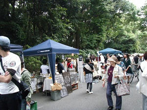 DSCF7761.jpg