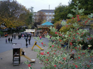 DSCF3018.jpg