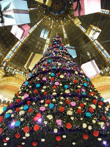 DSCF3038.jpg