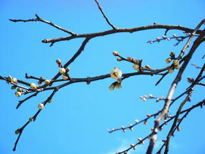 DSCF8308.jpg