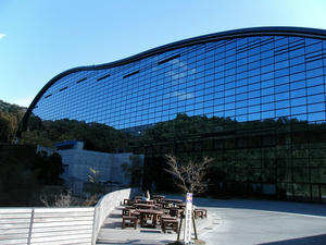DSCF8313.jpg
