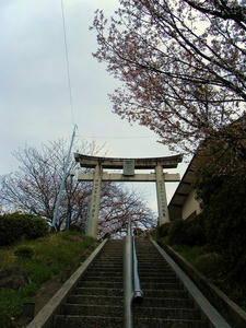 DSCF8428.jpg