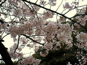 DSCF8422.jpg