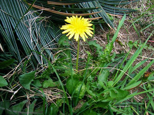 DSCF8425.jpg