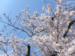 DSCF8449.jpg