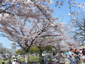 DSCF8450.jpg