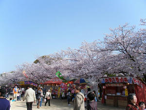 DSCF8452.jpg